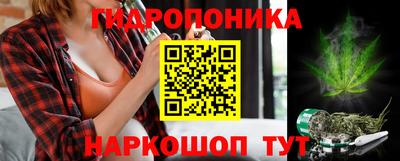прущие крисы Дубна