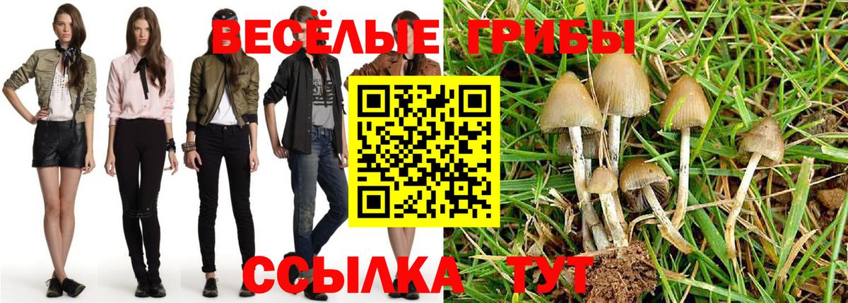 Псилоцибиновые грибы ЛСД Михайловск