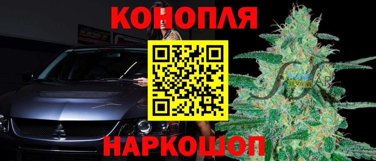 Бошки Шишки сатива Михайловск